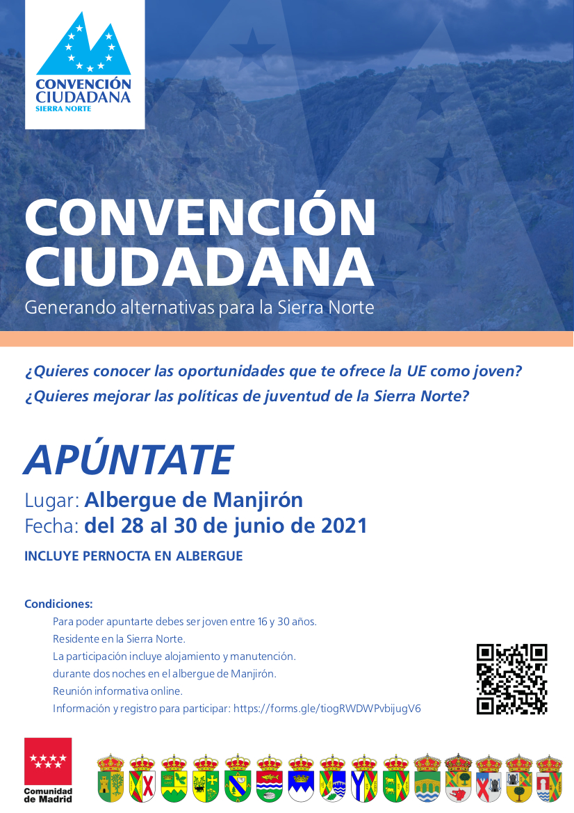 CartelConvencionCiudadana