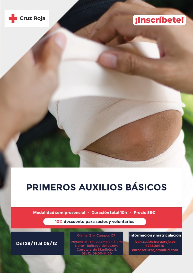 Plantilla PPAA BASICOS 2811