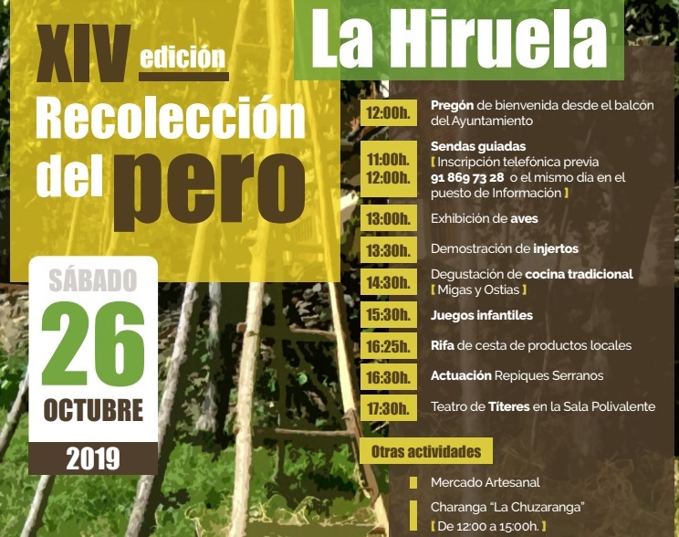 Recoleccion_del_pero_La_Hiruela_2019