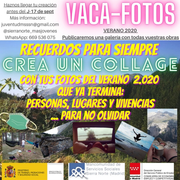 collage-vaca-fotos-2