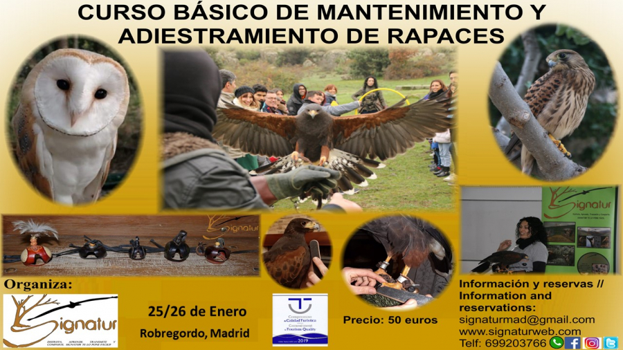 Curso_aves_rapaces_2