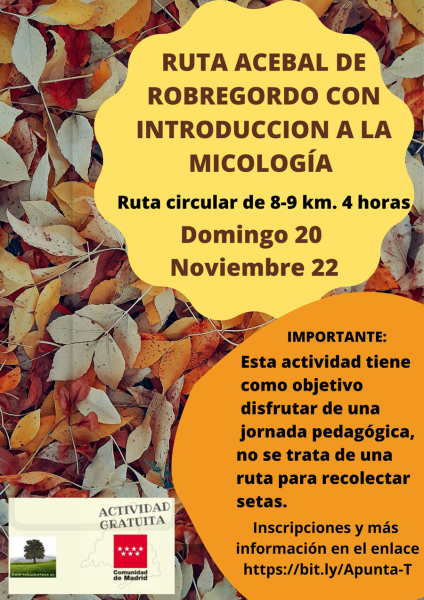 Ruta_20_Noviembre_Acebal_Robregordo_2